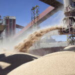 La exportación de harina de soja saltó 41% interanual en el primer trimestre